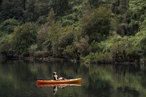 Kayak