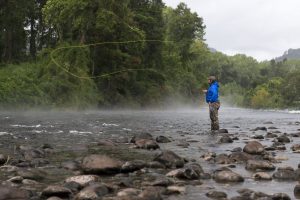 Pesca desportiva